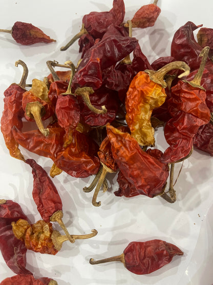 SUNDRIED CHILI (مرچ)